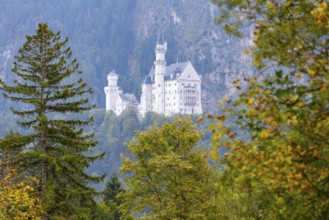 Schloss Neuschwanstein, Schwangau, Romantic Road, Ostallgäu, Bavaria, Germany