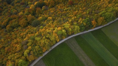 Indian summer in the Swabian Jura — autumn colors between forest and field