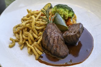Springbok fillet with spaetzle in a restaurant, Windhoek, Khomas region, Namibia