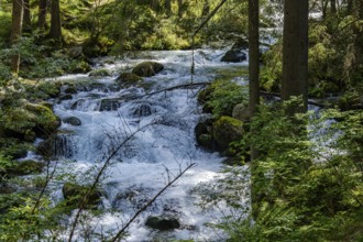 The Horlachbach stream below the Stuiben Falls near Umhausen in Ötztal, Tyrol, Austria