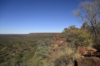 View of the Waterberg, Otjozondjupa region, Namibia