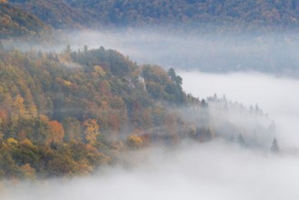 View from the Knopfmacherfels into the Danube valley, mixed forest, autumn colours, fog, autumn,