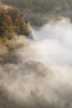 View from the Knopfmacherfelsen into the Danube valley, limestone rock, rock face, mixed forest,