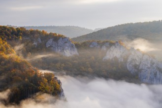 View from the Knopfmacherfels into the Danube valley, limestone rock, rock face, mixed forest,
