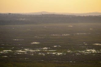 Landscape, Lake Victoria and Mabamba Swamp, Lake Victoria, Uganda