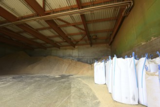 Pellet production at the Enegie-Mann company in the Westerwald