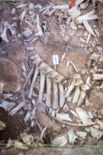 Beulah, Wyoming - The Vore Buffalo Jump, a sinkhole used by Plains Indians as a trap for bison from