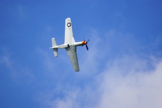 A North American P-51 Mustang of the flying group Flying Bulls, the Nooky Booky IV during an air