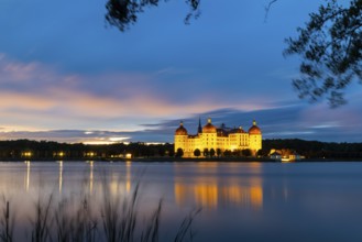 Moritzburg Castle in the blue hour, castle pond, reflection, sunset, common reed (Phragmites