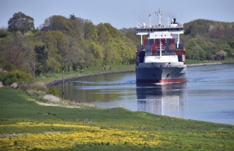 Container ship travelling through the Kiel Canal in spring, NOK, Kielkanal, Kiel Canal,