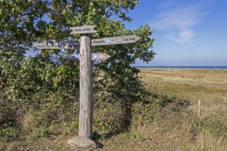 Signpost, Birk-Nack, Geltinger Birk nature reserve, Nieby, Schleswig-Holstein, Germany