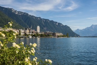 Town by the lake, Panorama, Montreux, Lake Geneva, Lac Léman, Canton Vaud, Switzerland