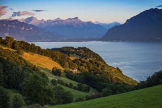 Panorama, Lake and mountains, Tour-de-Gourze, Riex, Sunset, Lavaux, UNESCO World Heritage Site,