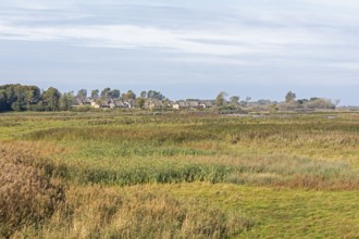 Holiday village Reetdorf Geltinger Birk, Geltinger Birk nature reserve, Geltinger Bucht,