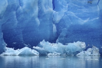 Grey Glacier, in Grey Lake, Torres del Paine National Park, Patagonia, Chile, South America