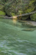 Erlauf Gorge, Purgstall an der Erlauf, Lower Austria, Austria