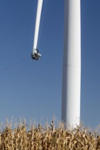 Luverne, Minnesota - Workers repair the cracked blade of a wind turbine