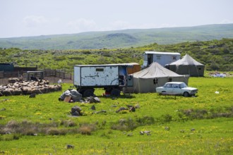 Rural scene with vehicles, flock of sheep and tents in a meadow, nomads, tents and caravans as a