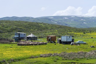 Scene with farm and flock of sheep on green fields surrounded by mountains, nomads, tents and