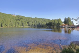 Lakescape with forest and mountain, Karsee, mountain lake, shore, transmission tower, mountain