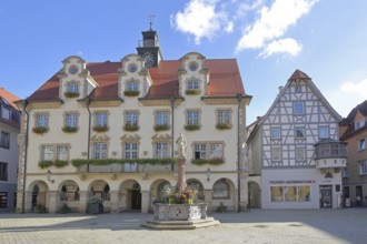 Town hall built in 1927 with dormer windows and market fountain, half-timbered house, Sigmaringen,