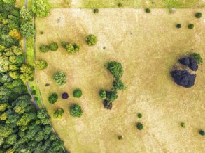 Top Down view over Gardens of Floors Castle from a drone, Duke of Roxburghe, Roxburghshire,