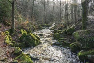 The Ilse at the Heinrich-Heine-Weg near Ilsenburg, Saxony-Anhalt, Germany