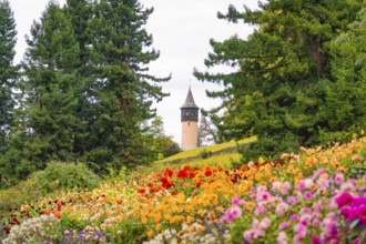 Park landscape with colourful flowers and a tower in the background, framed by trees, Mainau flower