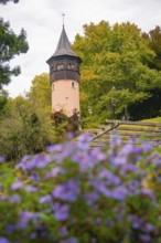 Tower behind blooming flowers in the foreground, surrounded by trees in autumn, Mainau flower