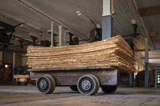 Wagon on rails for transporting cardboard, former paper factory and mill for the production of