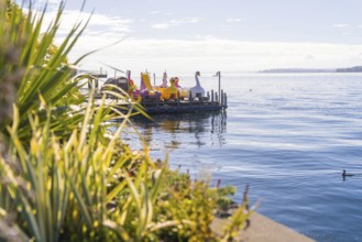 Tranquillity on the lake with a platform full of pedal boats and clear blue water, Überlingen, Lake