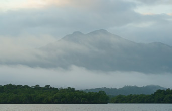 Atlantic Rainforest Coast, Brazil