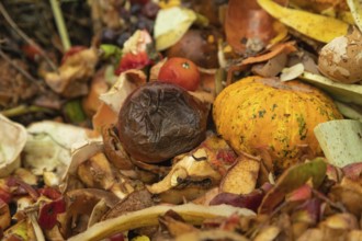 Compost pile made of organic food, leaves, vegetable and fruit Waste mix, Zero waste and Eco