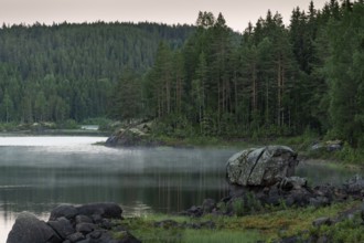 A calm lake with mist and rocks in front of a dense forest in the evening, Akershus, Norway
