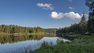 Quiet forest lake, Eidsvoll, Akershus, Norway