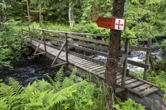 Narrow wooden bridge over a river in a green forest with a signpost to a hostel, Olav's Cross,