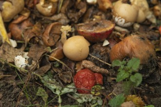Compost pile made of organic food, leaves, vegetable and fruit Waste mix, Zero waste and Eco