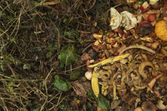 Compost pile made of organic food, leaves, vegetable and fruit Waste mix, Zero waste and Eco