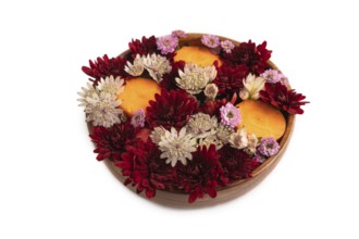 Wooden bowl with carrot slices and red Chrysanthemum flowers, Astrantia flowers, flower salad