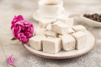Coffee marshmallow with cup of coffee on brown concrete background. side view, close up, selective