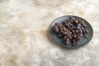 Bunches of rotten and Dry Red wine grapes on blue plate on brown concrete background, harvest,
