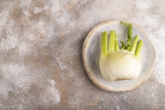Fresh Fennel bulb on blue plate on brown concrete background, top view, flat lay, copy space,