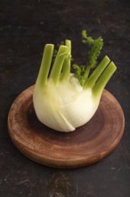 Fresh Fennel bulb on wooden cutting board on black concrete background, side view, copy space,