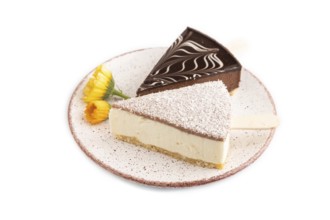 Chocolate and Vanilla Cake pops Marshmallow isolated on white background. side view, close up