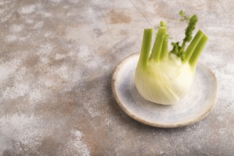 Fresh Fennel bulb on blue plate on brown concrete background, side view, copy space, minimalism