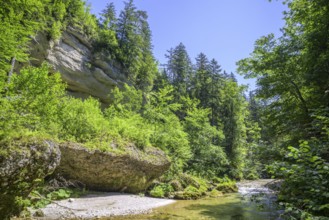 Wanderung entlang der Krummen Steyrling, Molln, Oberösterreich, Österreich