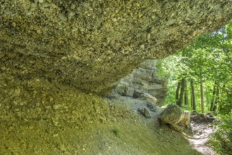 Konglomeratfelsen und Wanderweg im Naturschutzgebiet Steyr Fluss, Molln, Oberösterreich, Österreich