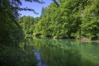 Steyr Fluss, Molln, Oberösterreich, Österreich