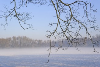 Winterlandschaft, aufsteigender Bodennebel im Licht der Morgensonne, Nordrhein-Westfalen,