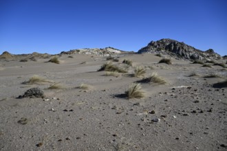 Wüstenlandschaft bei Pomona, Diamentensperrgebiet, bei Lüderitz, Region Karas, Namibia